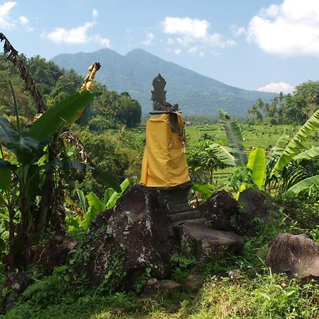 Alamku Bungalow Karangasem Kültér fotó