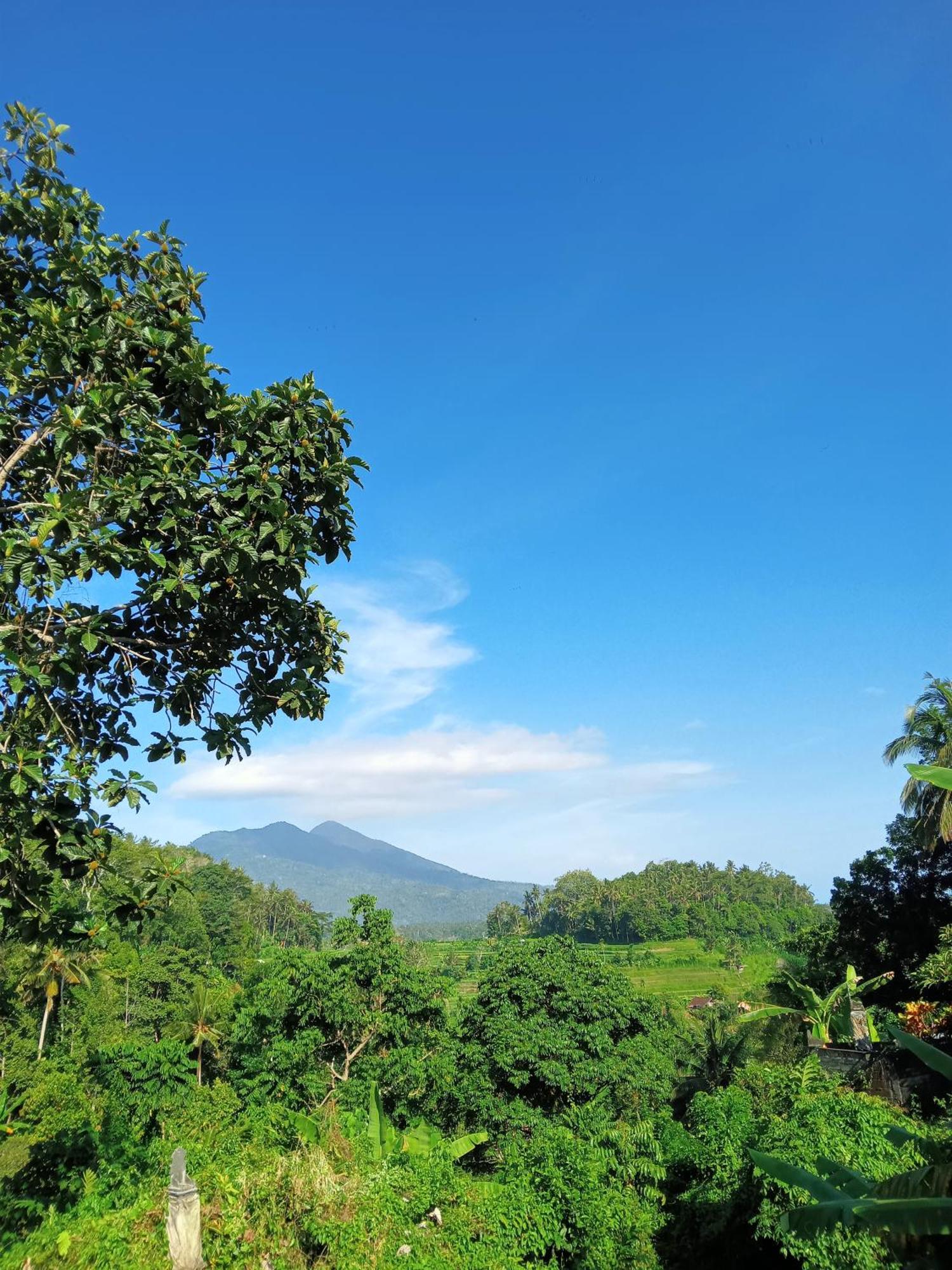 Alamku Bungalow Karangasem Kültér fotó